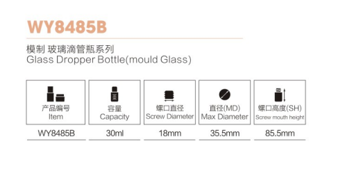 ODM Cosmetic Packaging Glass Bottle with dropper for skincare